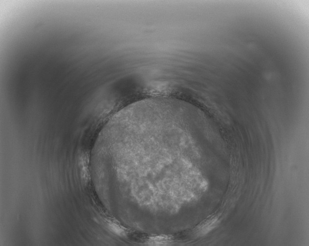 X0000054410240200508051748