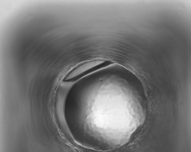 X0000054410241200508051747