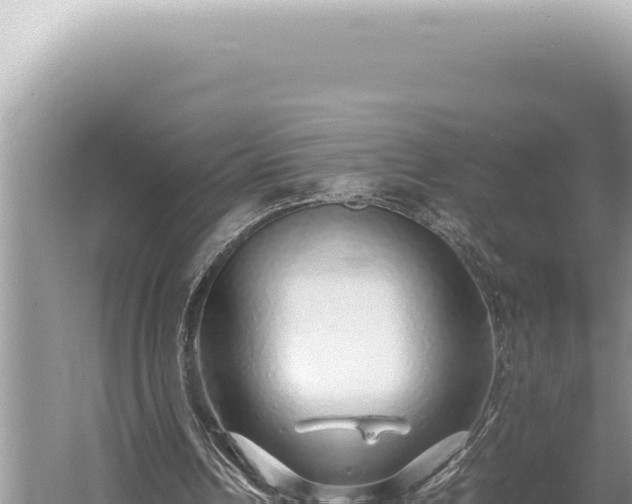 X0000054410242200508051747