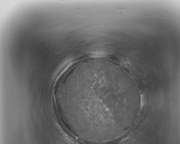 X0000054410243200508051747