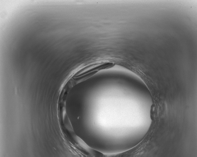 X0000054410244200508051747