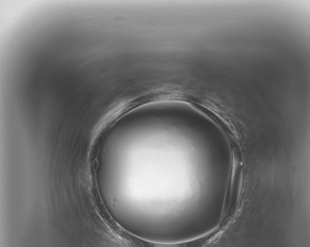 X0000054410245200508051747