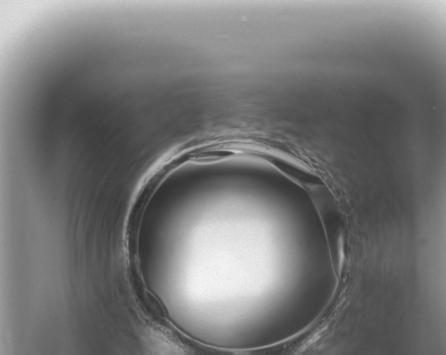 X0000054410246200508051747