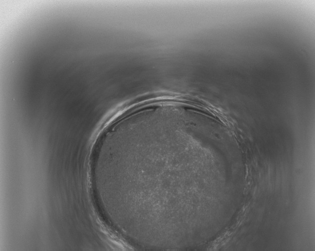 X0000054410247200508051747