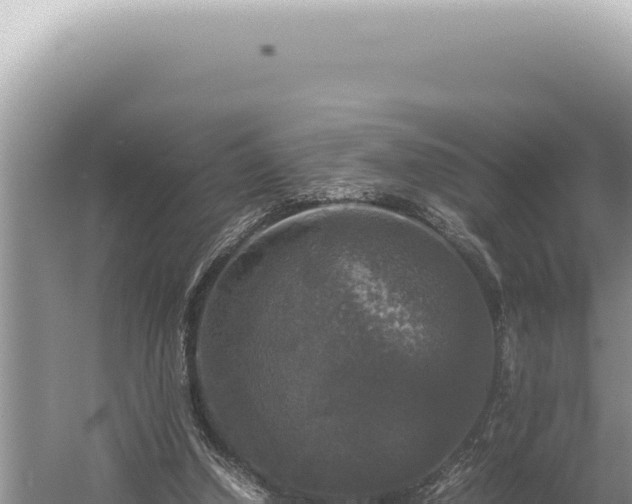 X0000054410250200508051747