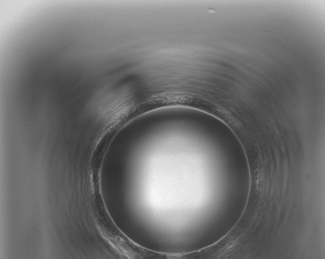 X0000054410254200508051747