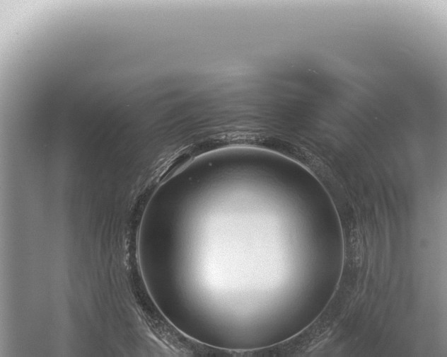 X0000054410255200508051747