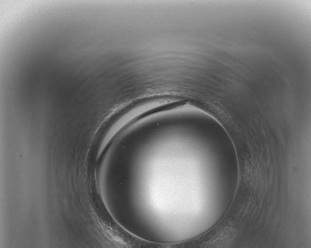 X0000054410256200508051747