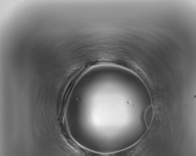 X0000054410257200508051747