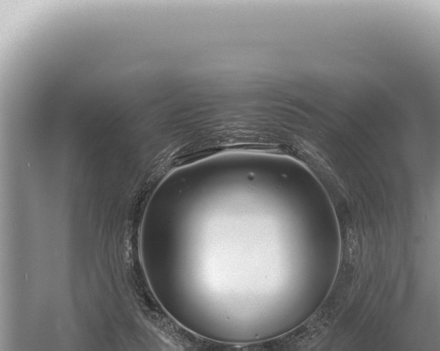 X0000054410259200508051747