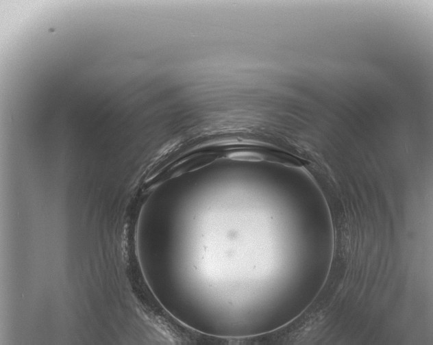 X0000054410260200508051747