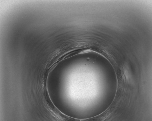 X0000054410261200508051747