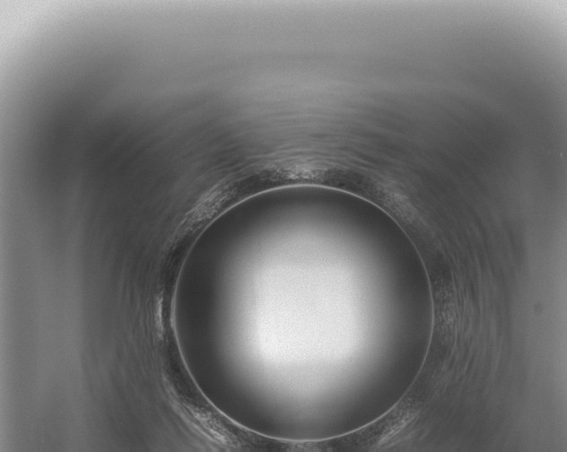 X0000054410262200508051747