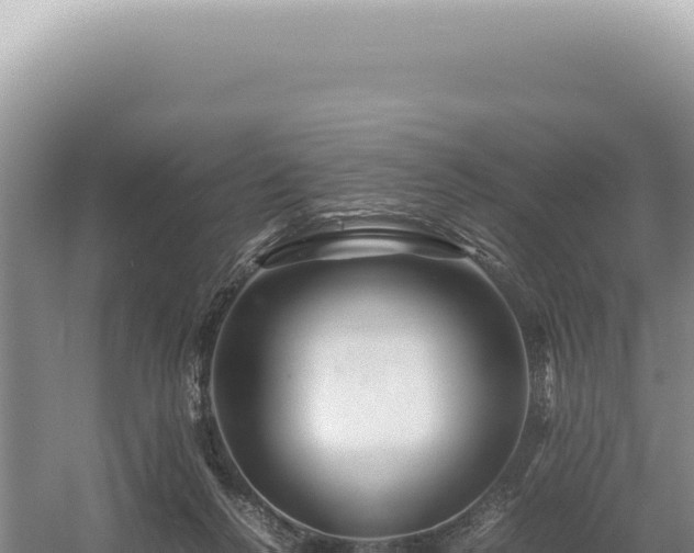 X0000054410264200508051747