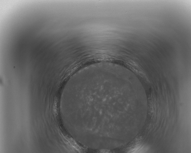 X0000054410266200508051747