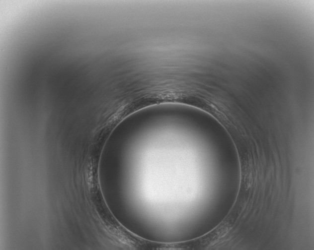 X0000054410268200508051747