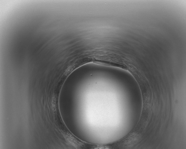 X0000054410274200508051747