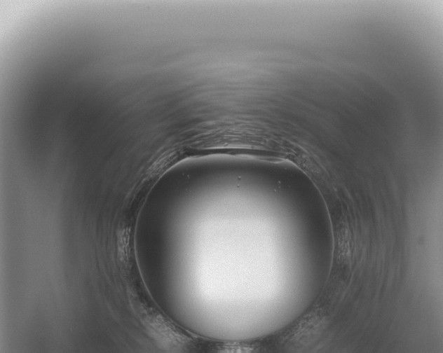 X0000054410278200508051747