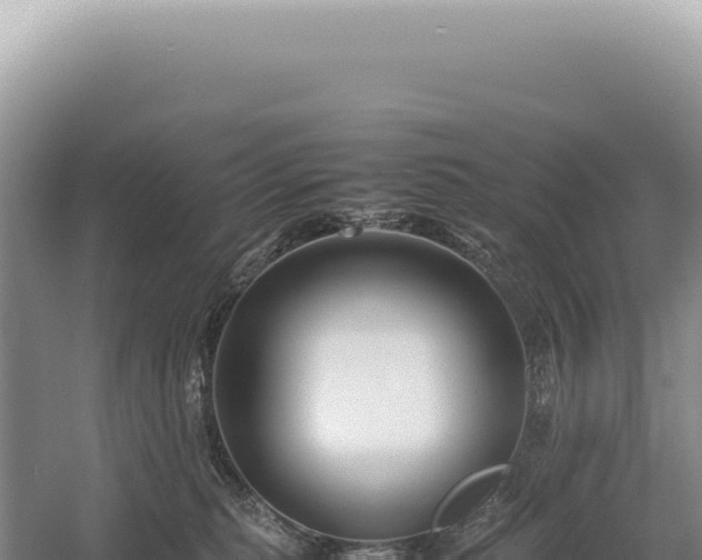 X0000054410279200508051748