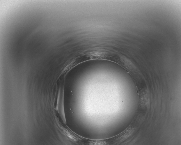 X0000054410282200508051748