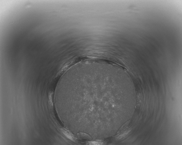 X0000054410286200508051748