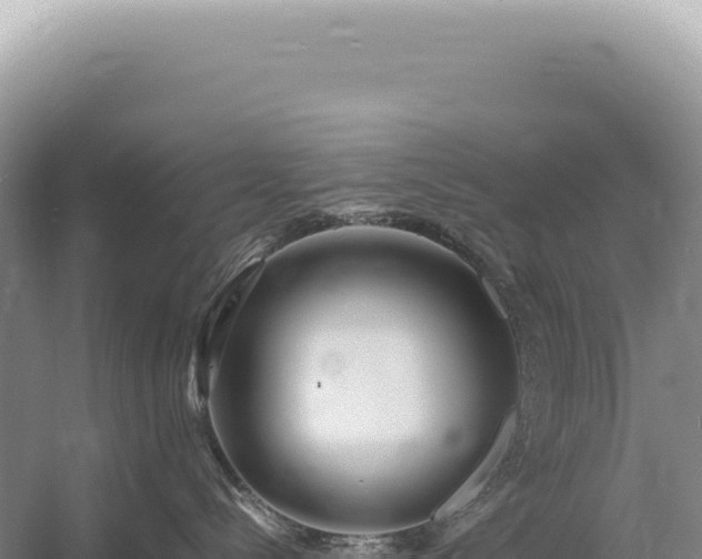 X0000054410288200508051748