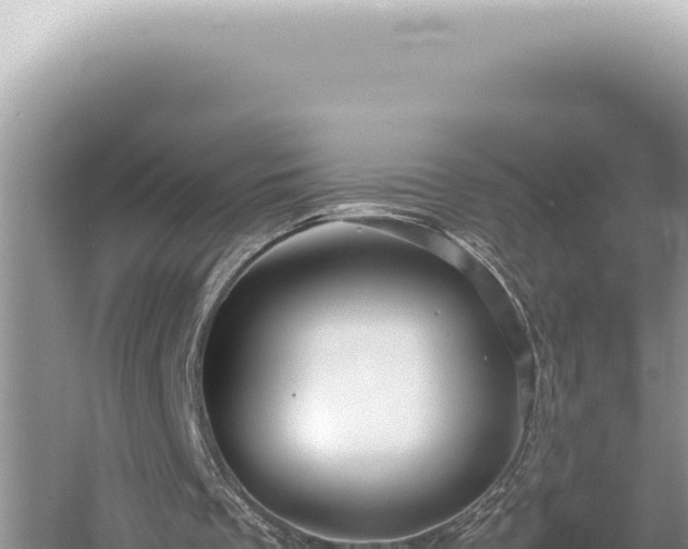 X0000054410289200508051747