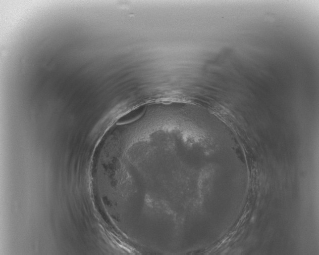 X0000054410290200508051747