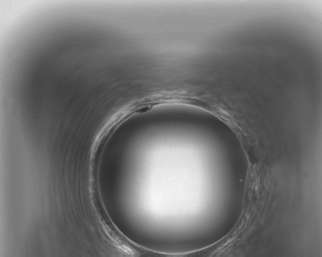 X0000054410293200508051747