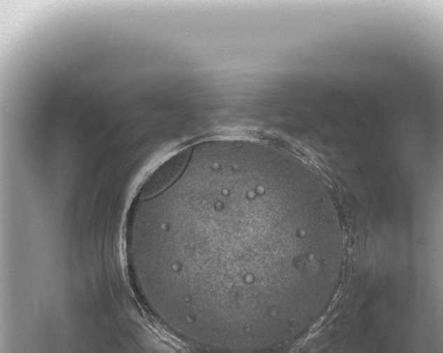 X0000054410294200508051747