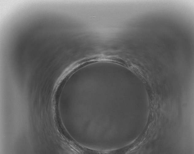 X0000054410295200508051747