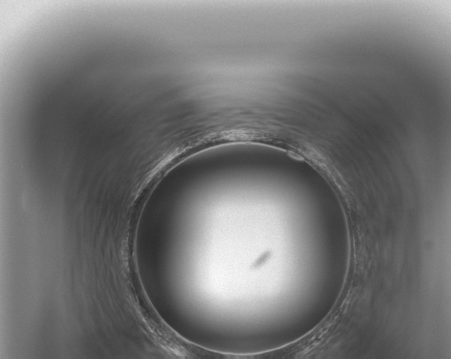 X0000054410297200508051747