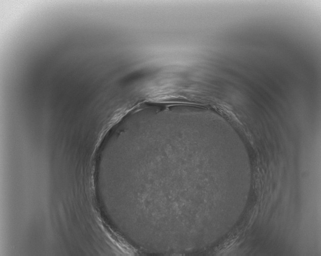 X0000054410299200508051747