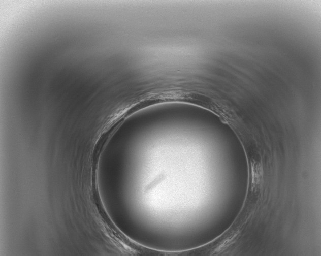 X0000054410301200508051747