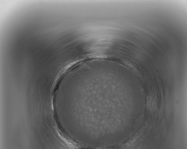 X0000054410302200508051747