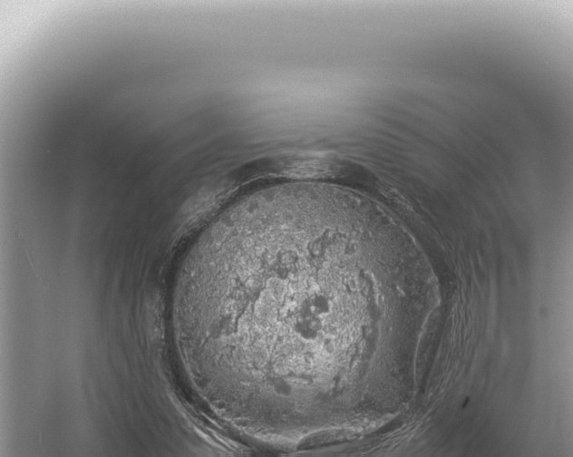 X0000054410303200508051747