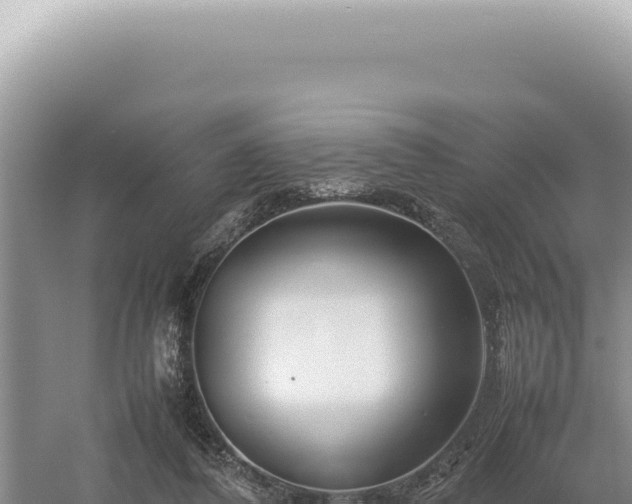 X0000054410308200508051747