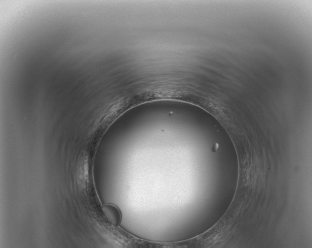 X0000054410310200508051746