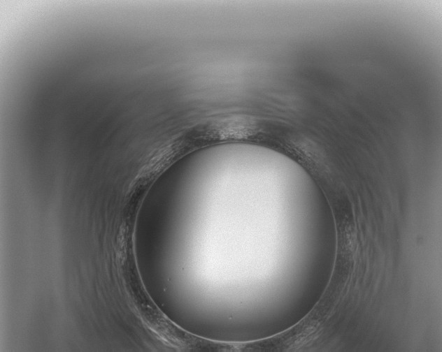 X0000054410311200508051746