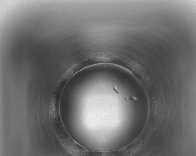 X0000054410312200508051746