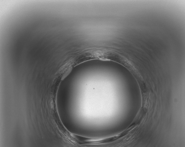 X0000054410313200508051746