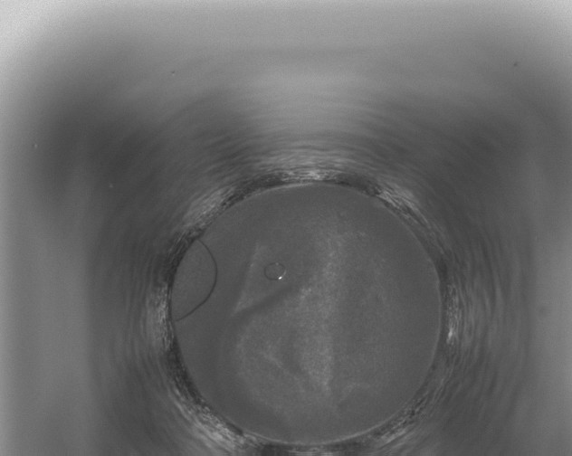 X0000054410314200508051746