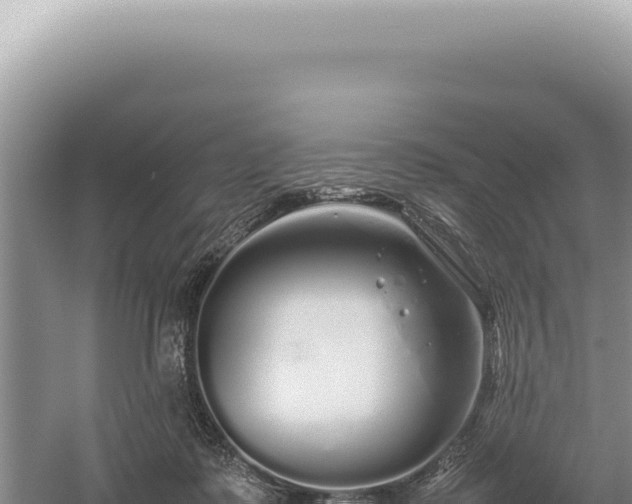 X0000054410315200508051746