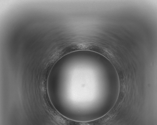 X0000054410317200508051746