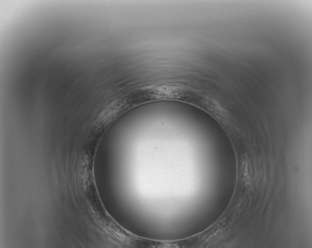 X0000054410318200508051746