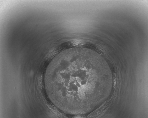 X0000054410319200508051746