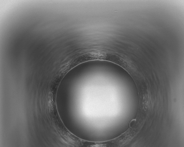 X0000054410320200508051746