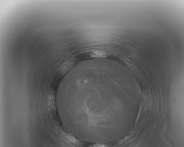 X0000054410322200508051746