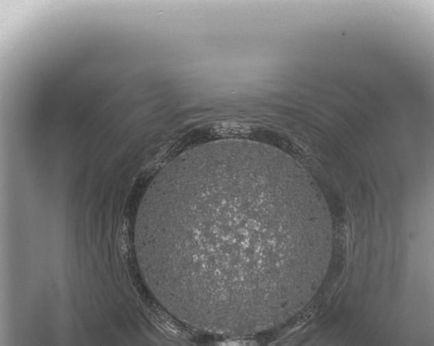 X0000054410323200508051746