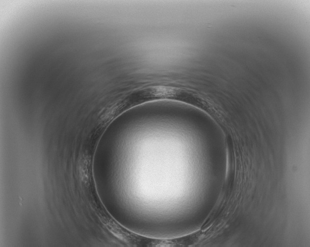 X0000054410325200508051746